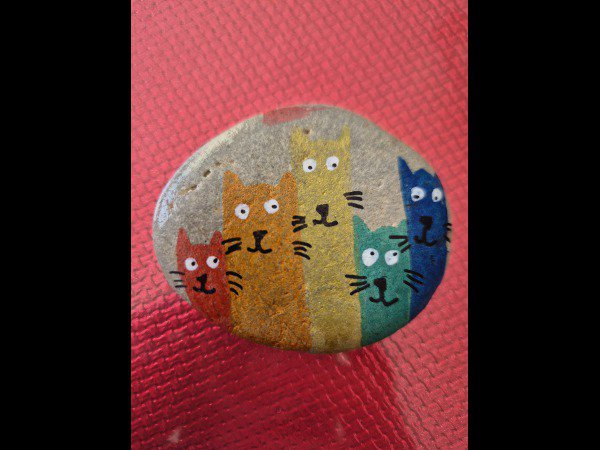 Selection of the month Flo84 cats : 1746988535.1746698435.1000021948.jpg