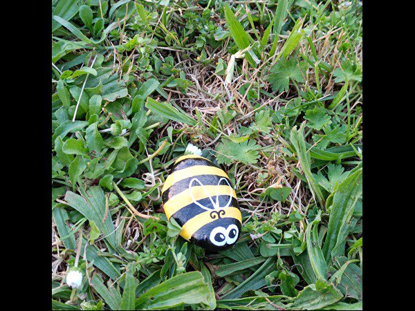ACCUEIL : Slection du mois Clo69 bee : 1747864253.cleo69.bee.jpg