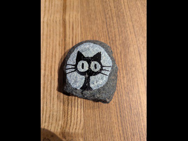 Selection of the month Mercredi38 a cat : 1748378148.mercredi38.encore.un.chat.jpg