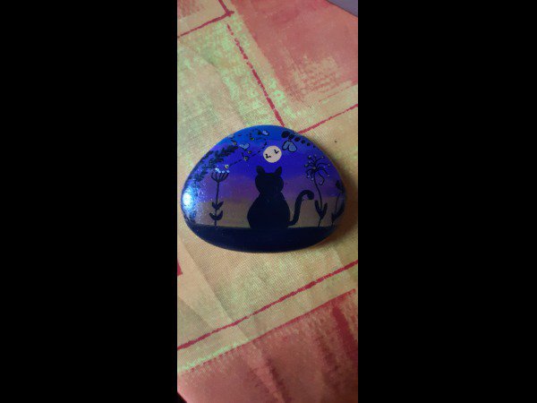 Selection of the month Creator 3644 cat : 1748859885.creator.3644.chat.contemplant.la.lune.jpg