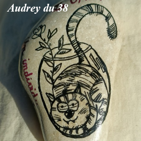 Animal : Chat Audrey du 38 Chat dans un vase : 1750194269.audrey.du.38.chat.dans.un.vase.jpg