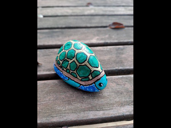 ACCUEIL : Slection du mois MagLuL Tortue : 1750761354.maglule.tortue.jpg