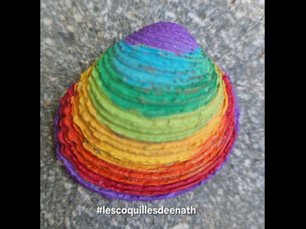 ACCUEIL : Slection du mois LesgaletsdeNath Coquille aux couleurs de l\' arc en ciel : 1751280111.lesgaletsdenath.coquille.aux.couleurs.de.l.arc.en.ciel.jpg