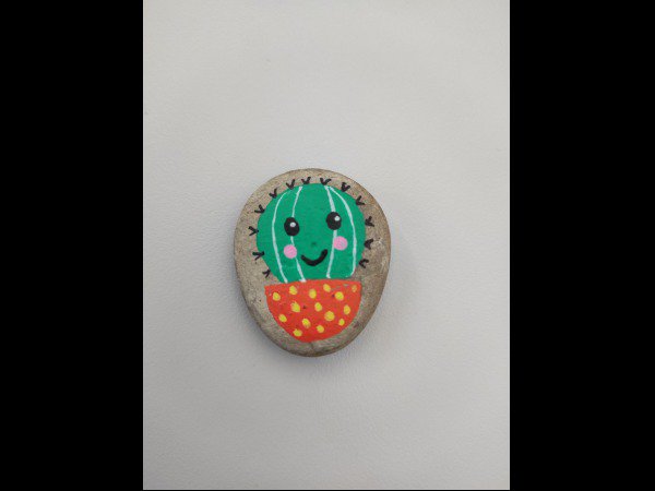 ACCUEIL : Slection du mois DD38 Cactus 1 : 1751280160.dd38.cactus.1.jpg