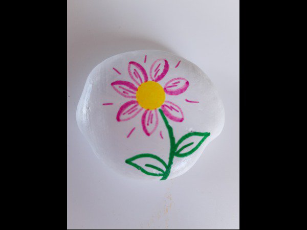 Selection of the month ChrisM26 Flower : 1751280238.chrism26.marguerite.jpg