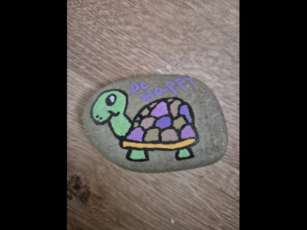 Selection of the month Ludivine turtle : 1753443588.ludivine.turtle.jpg