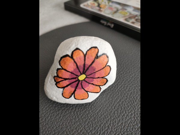 Selection of the month SBG Flower : 1758537814.sbg.fleur.orange.jpg