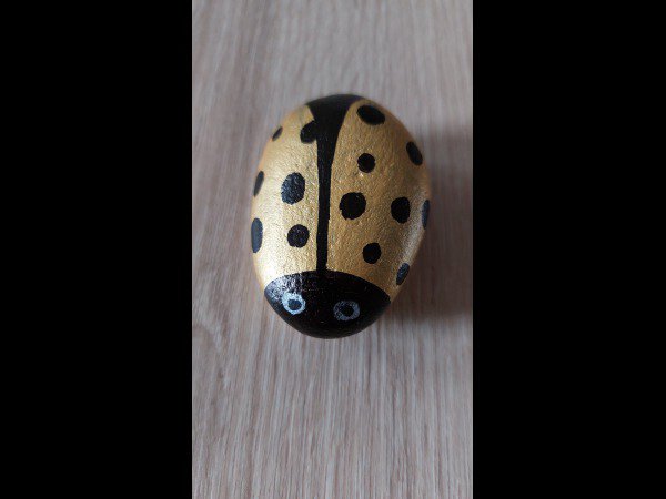 ACCUEIL : Slection du mois Fafalou Cocci dore : 1758537874.fafalou.cocci.doree.jpg