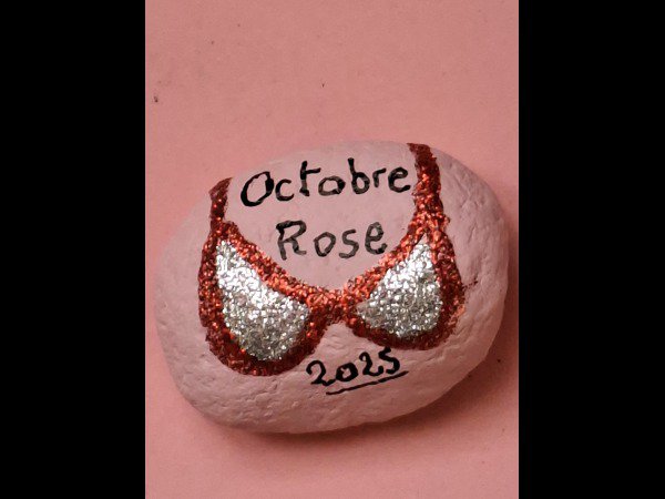 ACCUEIL : Slection du mois Galet d\'Alain OCT ROSE 25 SOUTE : 1759747611.galet.d.alain.oct.rose.25.soute.jpg