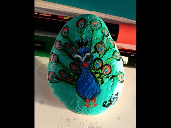 Selection of the month Paty peacock : 1761119762.paty.paon.bof.jpg