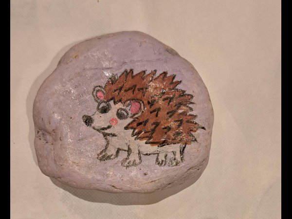 Selection of the month E. Hedgehog 1 : 1761821696.e.herisson.1.jpg