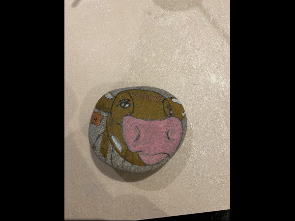 Selection of the month Nathalieke cow : 1762429342.nathalieke.galet.vache.jpg