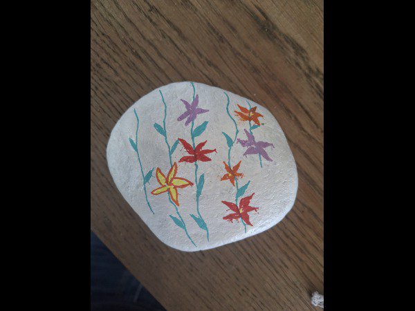 Selection of the month Creator 5528 Flowering : 1762429468.creator.5528.floraison.jpg