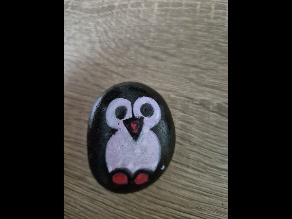 Selection of the month Minouche Owl : 1764588606.minouche.coucou.hibou.jpg