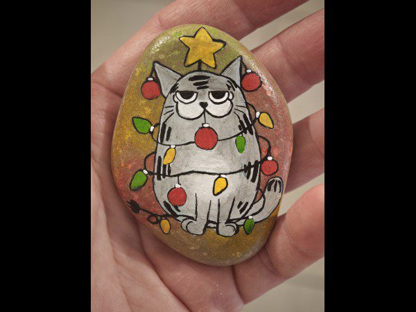 Selection of the month Margaux26 Christmas cat : 1765365745.margaux26.chat.de.noel.jpg