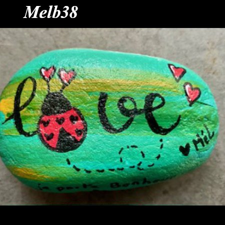 Animal : Coccinelle Melb38 Coccinelle love : 1765366182.melb38.coccinelle.love.jpg