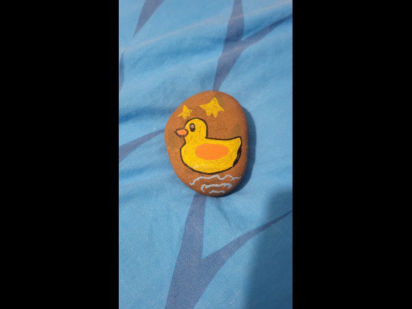 Selection of the month Creator 5576 Duck : 1766490138.creator.5576.petit.canard.jpg