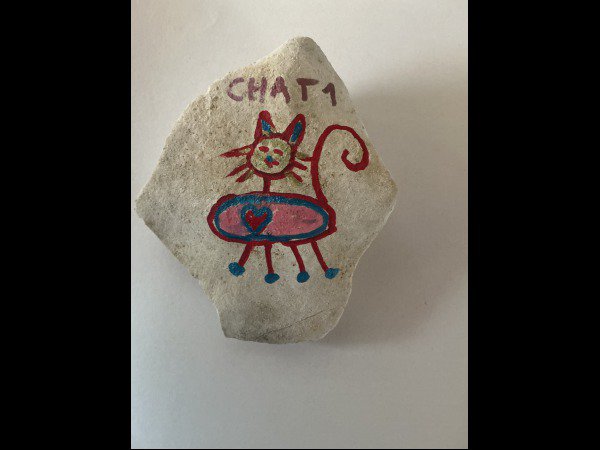 Selection of the month Creator 1956 cat : 1767871703.creator.1956.chat.1.jpeg