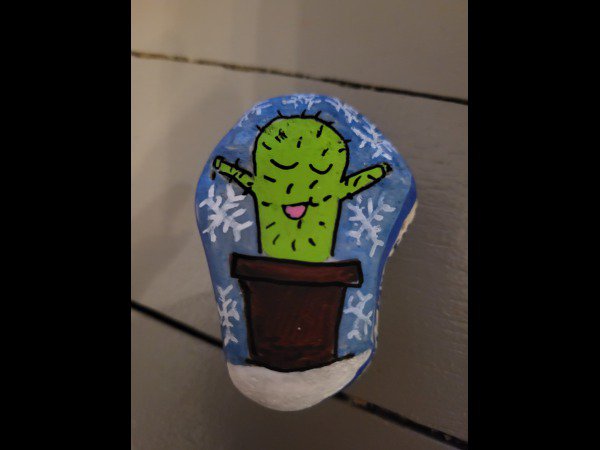 Selection of the month Yael Myrtille pablo Cactus : 1768389310.yael.myrtille.pablo.cactus.sous.la.neige.jpg