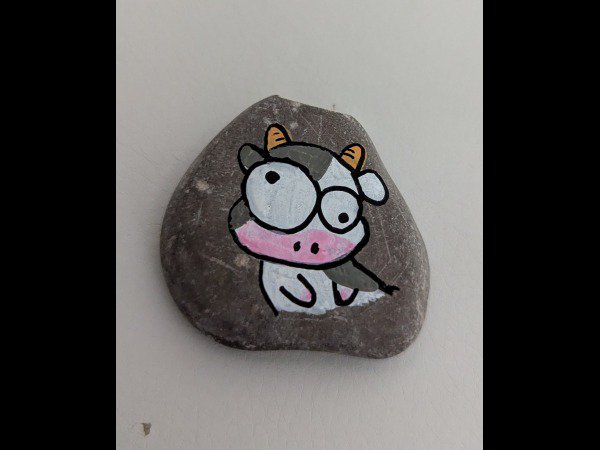 Selection of the month Mercredi38 Cow : 1769514569.mercredi38.vache.fofolle.jpg