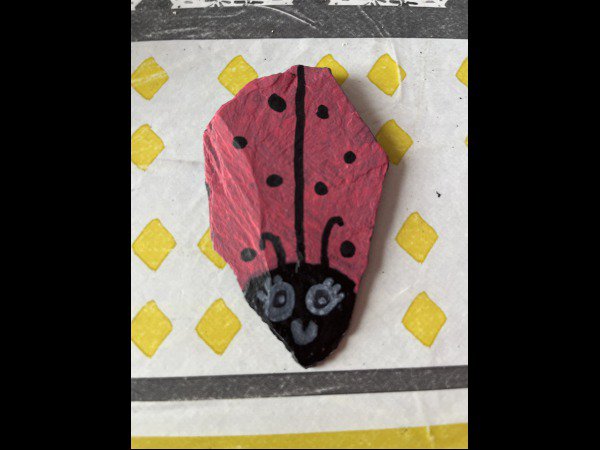 Selection of the month Rose-Loic ladybug : 1769514613.rose.loic.mon.anniversaire.jpg