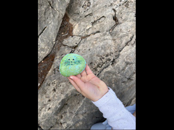 Selection of the month Creator 5698 Cat : 1769599200.creator.5698.le.chat.jpg