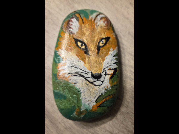 Selection of the month LesgaletsdeNath fox : 1769599275.lesgaletsdenath.renard.jpg