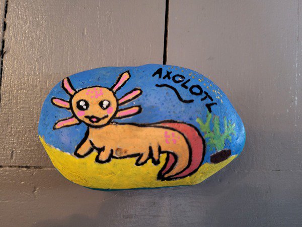 ACCUEIL : S�lection du mois Yael Myrtille Pablo Axolotl : 1770721710.yael.myrtille.pablo.axolotl.jpg