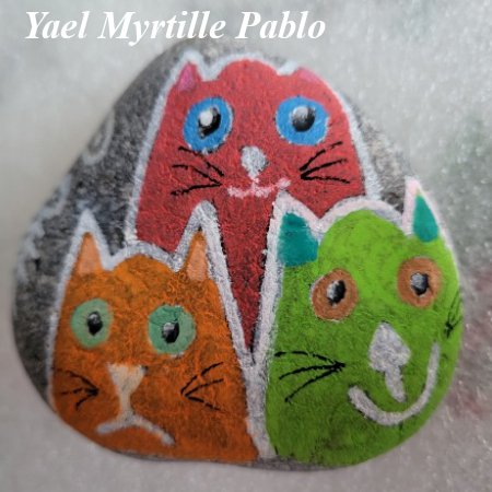 Animal : cat Yael Myrtille Pablo Family Cat : 1770723338.yael.myrtille.pablo.family.cat.ok.jpg