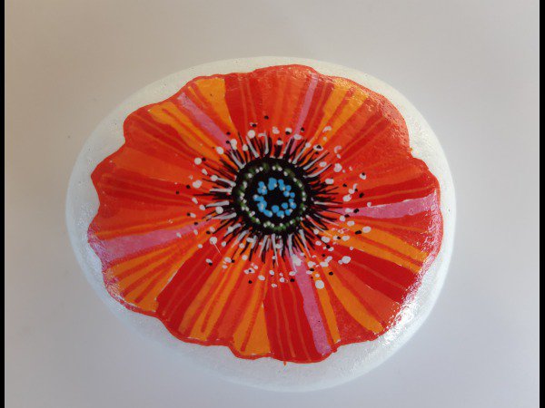 Selection of the month ChrisM26 Red flower : 1774865456.chrism26.fleur.rouge.jpg