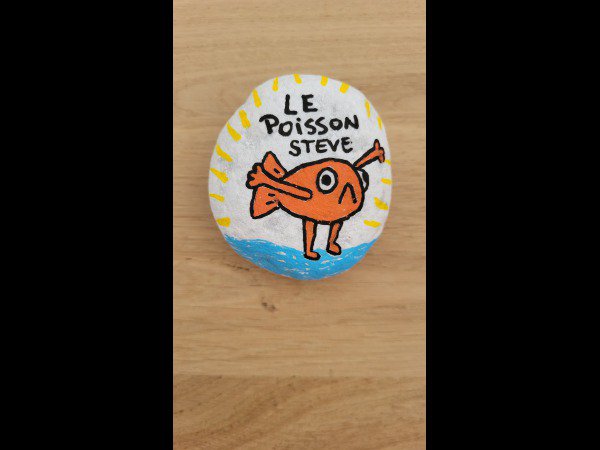 ACCUEIL : S�lection du mois Creator 5576 Le poisson Steve : 1776853870.creator.5576.le.poisson.steve.jpg