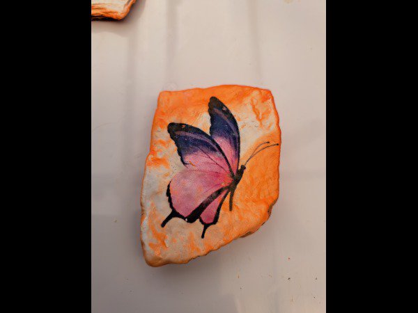 Selection of the month Creator 4225 Butterfly : 1777449435.creator.4225.papillon.jpg