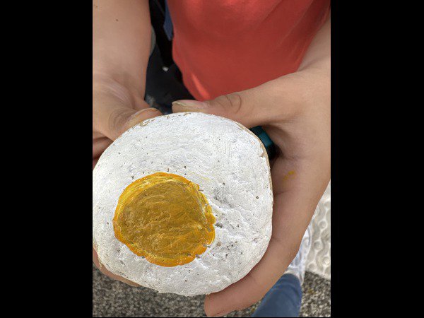 Selection of the month ALSHLESPTITSGENIS26750 egg : 1777449540.alshlesptitsgenis26750.lhalfuf.des.ptits.genis.jpg