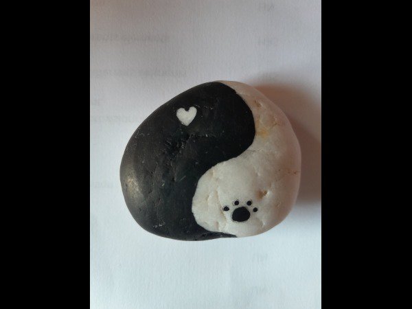 Selection of the month Famille K-Do Yin&Yang : 1778149132.famille.k.do.yinandyang.jpg