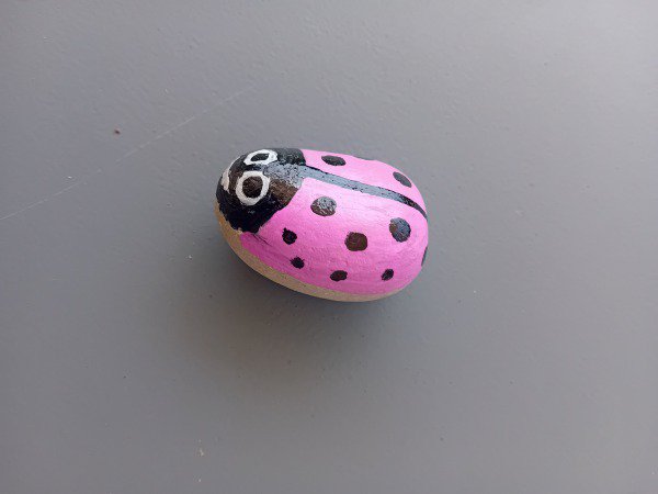 Selection of the month Creator 4671 : 1778580526.creator.4671.coccinelle.jpg