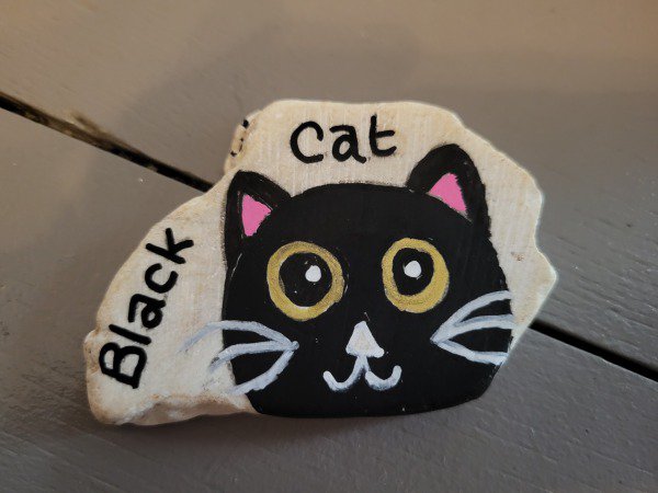 ACCUEIL : S�lection du mois Lesgaletsde YMP Black Cat : 1779448773.lesgaletsde.ymp.black.cat.jpg