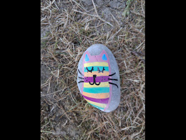 ACCUEIL : S�lection du mois FamilyM Chat multicolore : 1787136059.familym.chat.multicolore.jpg