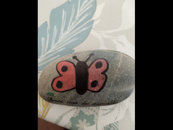 ACCUEIL : S�lection du mois Lechris51 Papillon : 1787136205.lechris51.papillon.jpg