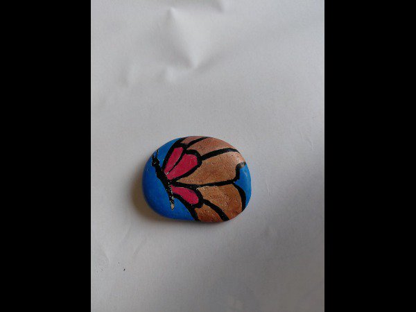 Selection of the month Nolwenn51 Butterfly : 1788257153.nolwenn51.papillon.jpg