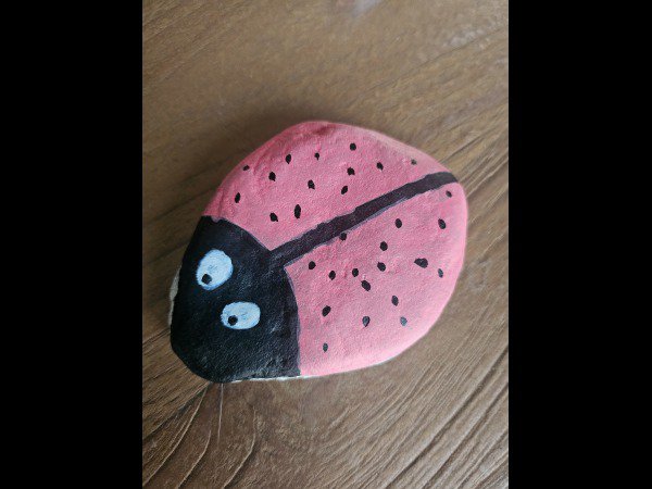 ACCUEIL : S�lection du mois Creator 6439 Coccinelle : 1789380707.creator.6439.coccinelle.jpg
