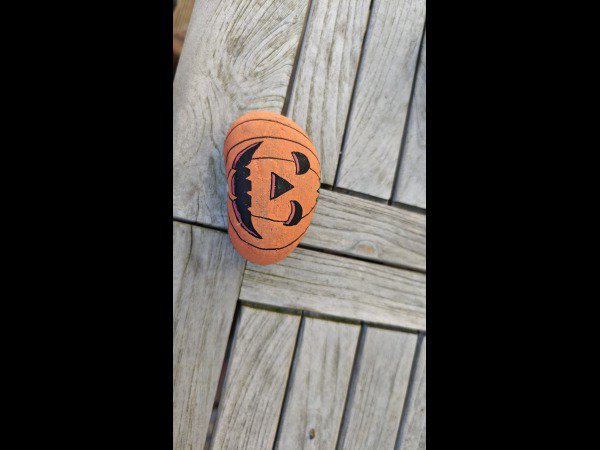 Selection of the month Roxy Cute Pumpkin : 1791886194.roxy.la.gentille.citrouille.jpg