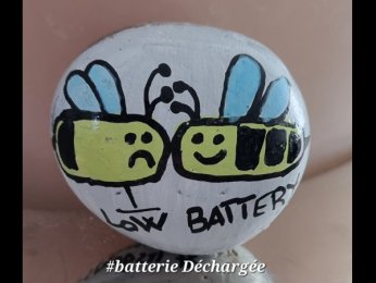LesgaletsdeNath Batterie Déchargée