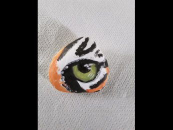 Creator 4649 oeil de tigre