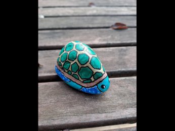 MagLuL Tortue