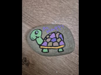 Ludivine turtle