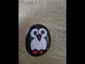 Minouche Coucou hibou