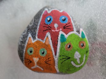 Yael Myrtille Pablo Family Cat