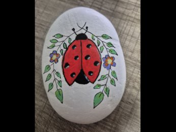 Kenshisan COCCINELLE