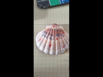 ECOLEAULNOIS No limites