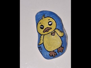 Galet d\'Alain PIOU PIOU AU COEUR D OR